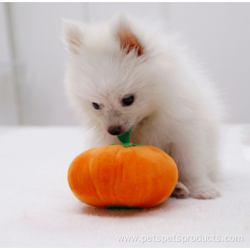 Plush pumpkin shape interactive squeaky dog chew toy